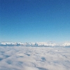 which side of the plane scapeside